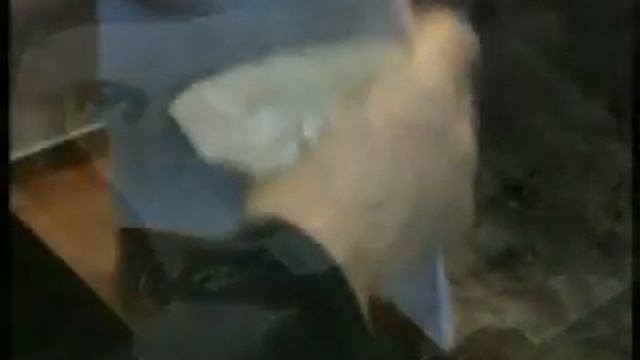 Энциклопедия Братья Гримм смотреть онлайн