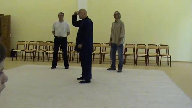Some Basic Principles Of Taijiquan.MPG