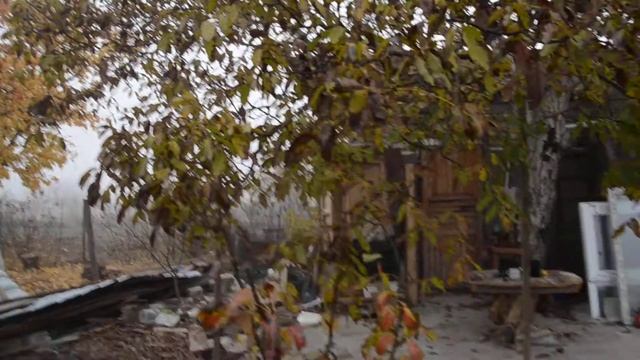 Осень золотая на деревне смотреть онлайн