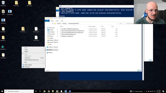 Malware Analysis - Kernel Mode Driver Emulation with Speakeasy смотреть онлайн