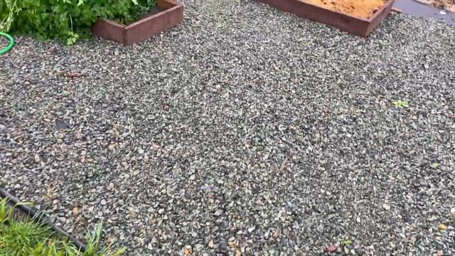 Осенний САД после утреннего дождя! смотреть онлайн