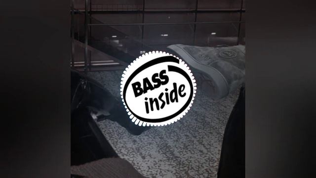BASS:МУЗЫКА (Макарена) Remix