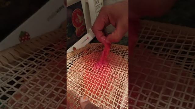 Красная икра пятиминутка 1 смотреть онлайн