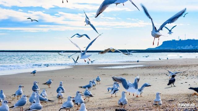 Игорь Порфирьев - Приглашение в Одессу смотреть онлайн