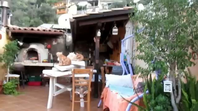 Завтрак со шпинатом. Болталка. смотреть онлайн