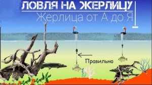 ЖЕРЛИЦА на ЩУКУ и др. Где и как ловить? ЗНАЙ И ЛОВИ. Школа рыбалова.