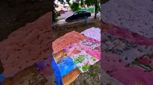 ведро ягоды за пять минут - внук с бабушкой легко соберут