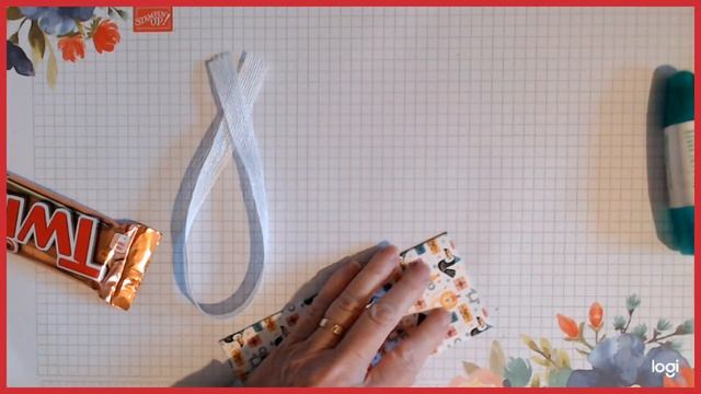Ribbon Pull Meerkat Treat смотреть онлайн