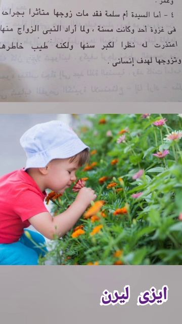 كيف تزوج الرسول من السيدة أم سلمة смотреть онлайн