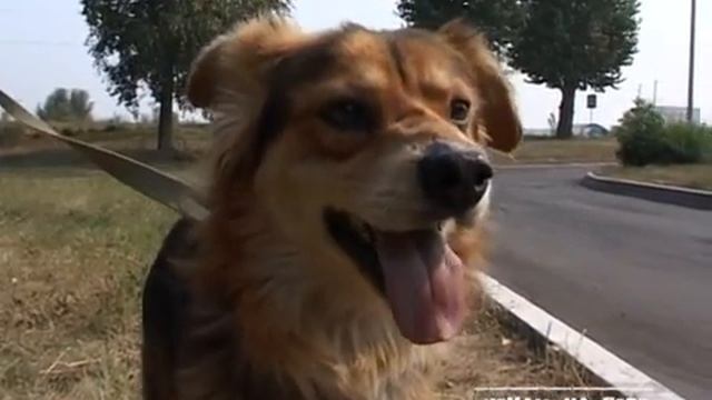 Чекаю на тебе, выпуск № 124 смотреть онлайн