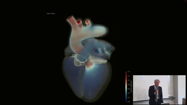 MOX20 - Alfio Quarteroni (MOX) смотреть онлайн