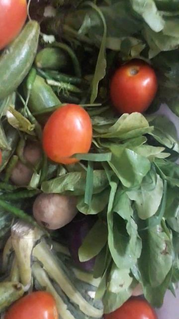 Fresh Vegetables #organic #vegetables#vegetarian #vegan #vegetable#veg#veganfood #viral #viralvideo смотреть онлайн