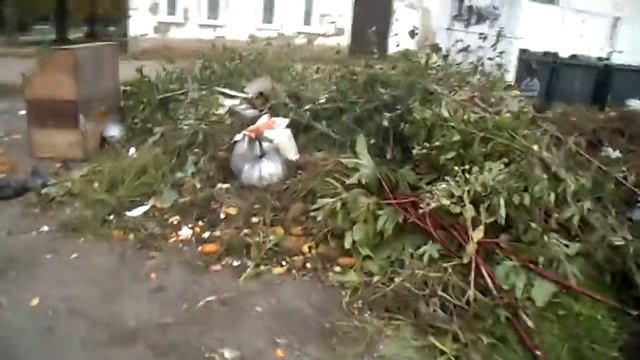контейнерная площадка Театральный проезд 27сен19 17:00 смотреть онлайн