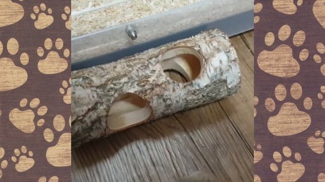НАСТЯ и ПАПА смешное видео грабитель в доме! ШОК! смотреть онлайн