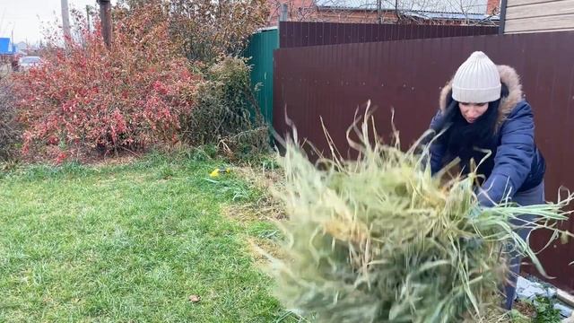 Зима на носу! Это нужно успеть обрезать!