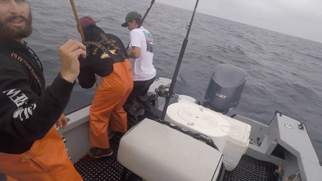 Little Skiff, Big Bluefin: Fishing Cow Bluefin Tuna on the Kite in San Diego смотреть онлайн