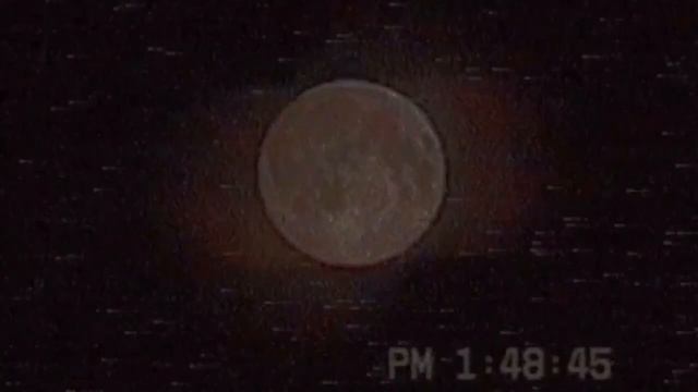 𝚑𝚊𝚢𝚕𝚎𝚢 𝚠𝚒𝚕𝚕𝚒𝚊𝚖𝚜 - 𝚛𝚘𝚜𝚎𝚜/𝚕𝚘𝚝𝚞𝚜/𝚟𝚒𝚘𝚕𝚎𝚝/𝚒𝚛𝚒𝚜 [𝚜𝚕𝚘𝚠𝚎𝚍] смотреть онлайн