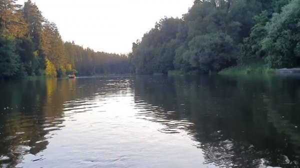 Лeна LIFE \ Лена и Ваня LIFE \ Судакова Ленку просто кинула!!! \ Обзор влогов