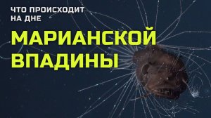 Марианская впадина - что происходит на дне？