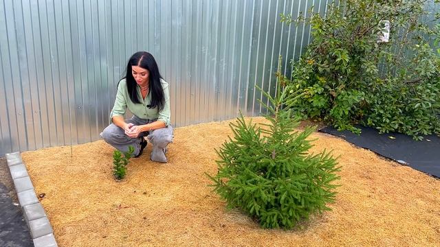 Как создать САД, который не захочется переделать! Это реально? смотреть онлайн