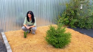 Как создать САД, который не захочется переделать! Это реально?