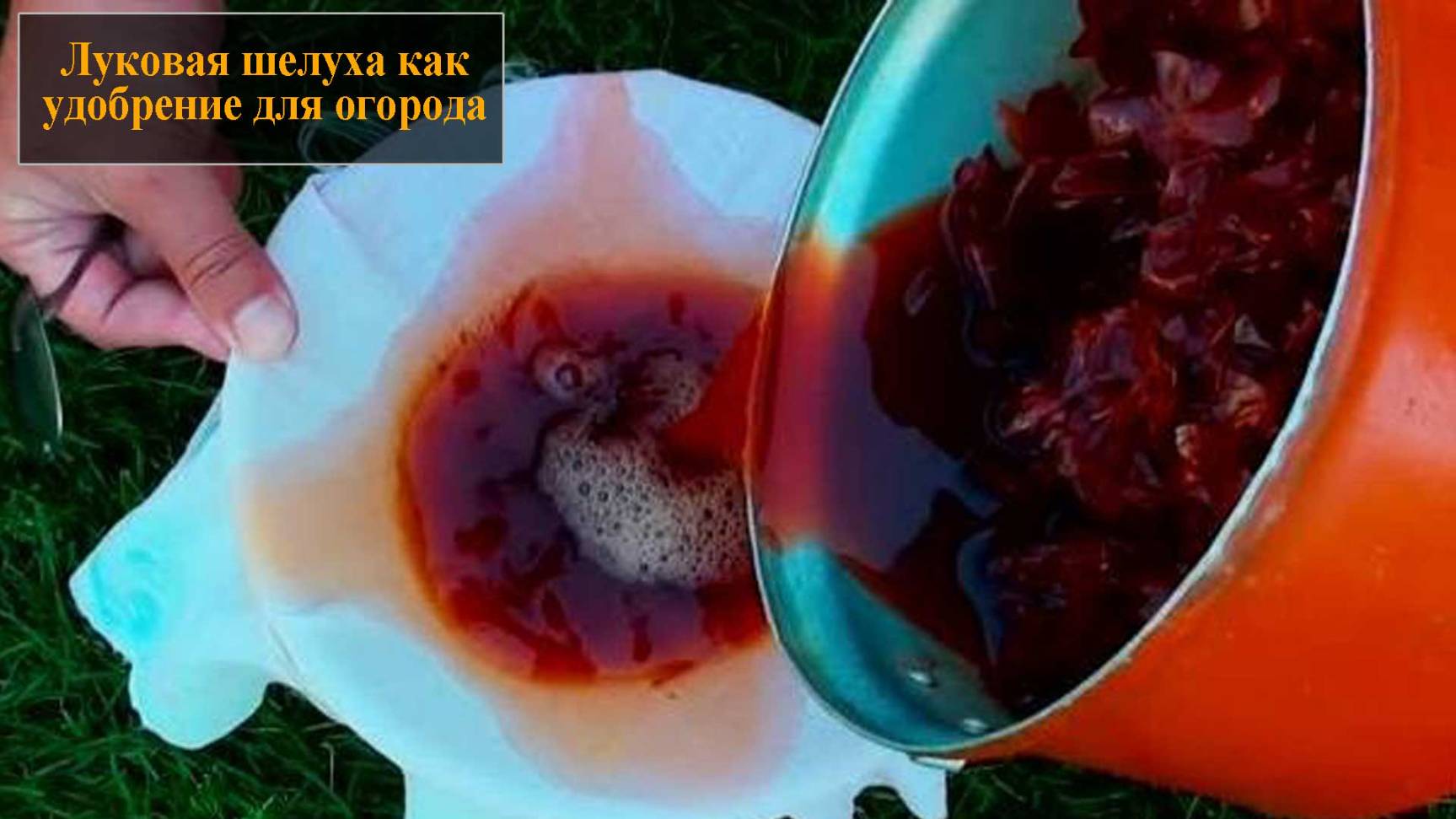 Луковая шелуха для огорода смотреть онлайн