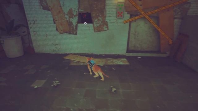 #15 Odnalezienie Clementine - #Stray #PS5 смотреть онлайн