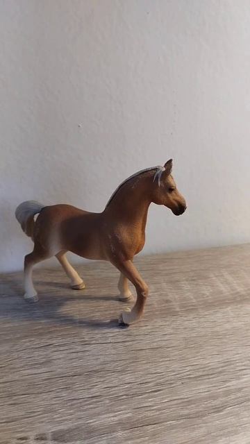 Какая самая быстрая порода лошади? #schleich #животные #игрушки #лошади #минимир смотреть онлайн