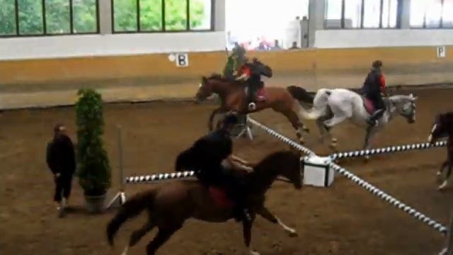 Springquadrille смотреть онлайн