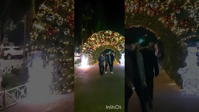 красота в Адлере в новый год #сочи #адлер #зима2024  #тцмандприн# центр #новыйгод #2024 #зимасочи