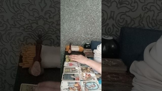 Ваша соперница сегодня....😳😳😳