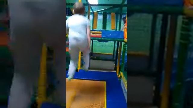 жираф и зебра смотреть онлайн