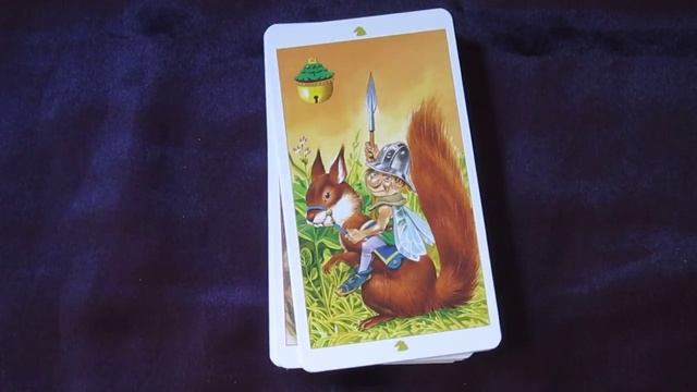 The Fairy Tarot смотреть онлайн