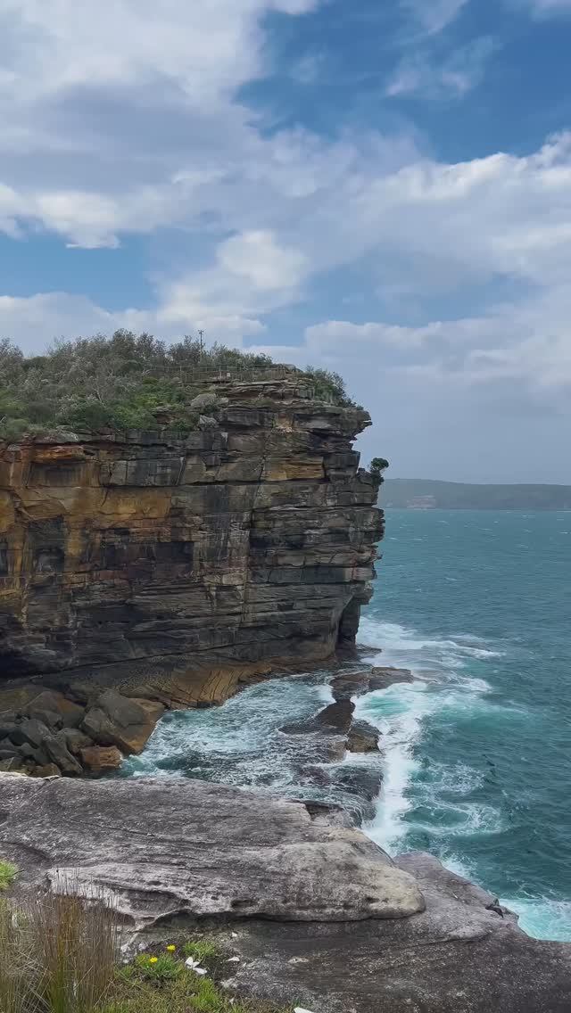 Невероятно, в Сиднее более 100 пляжей ?! 🏄♂️ #сидней#австралия#интересныефакты смотреть онлайн
