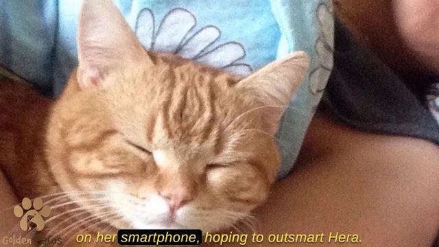 Woman Kept Oversleeping At Work, Not Realizing Who was Turning Off the Alarm Clock Set Up a Camera смотреть онлайн