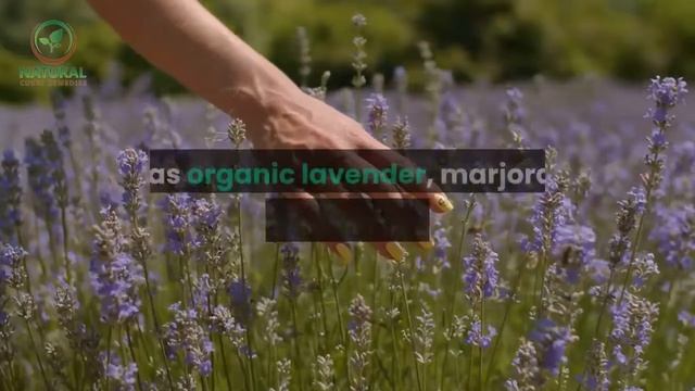 ✅ Skin care || Essential skin care products for me смотреть онлайн