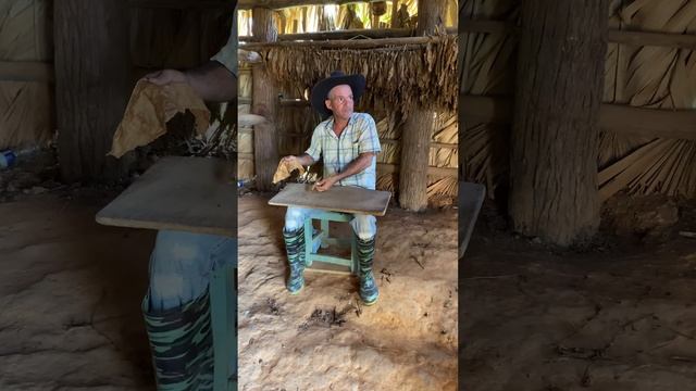 Производство сигары на Кубе смотреть онлайн