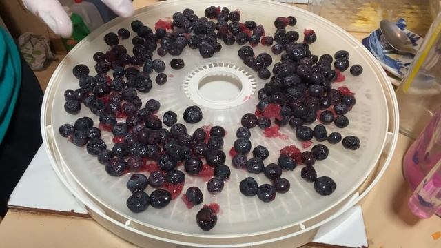 Dehydrating Frozen Blueberries