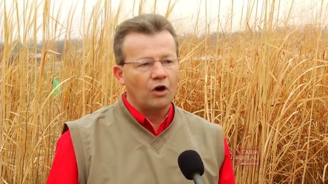 Miscanthus Biomass Project - Arkansas Farm Bureau смотреть онлайн