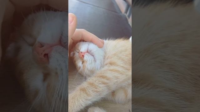 1 июня 2024 г. смотреть онлайн