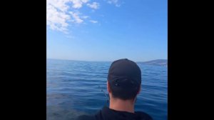 Жирная ставрида! Трофейная рыбалка на ставриду в Черном море