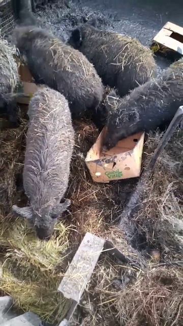 2 апреля 2023 г. смотреть онлайн