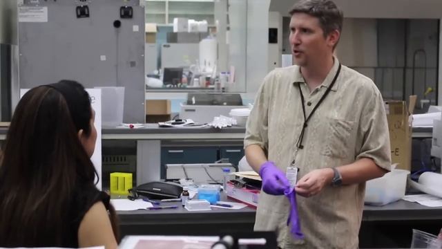 Meet Your Mites смотреть онлайн