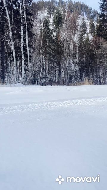 Космонавт древних времен
