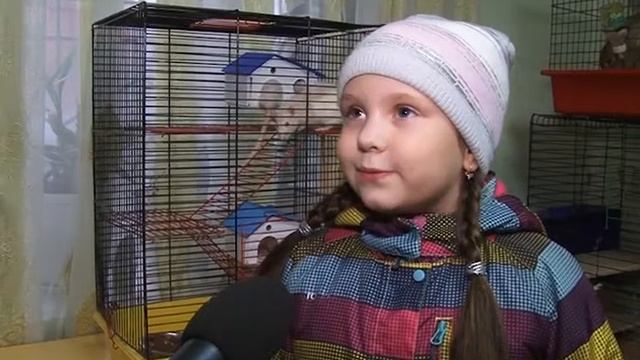 Благотворительная акция смотреть онлайн