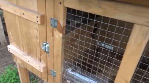 Обзор кроличьего хозяйства.