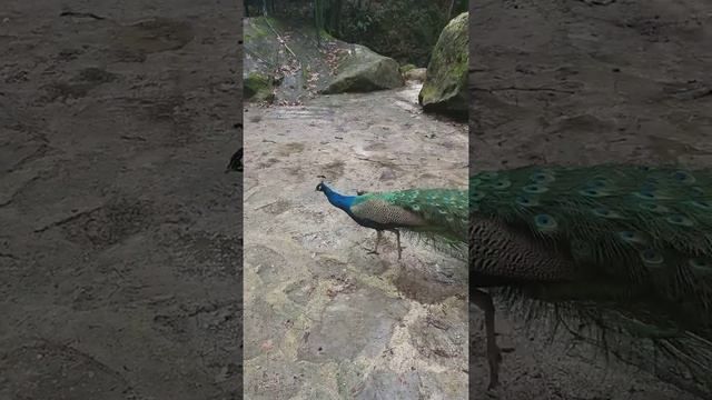 Турция Водопад Парадиз смотреть онлайн