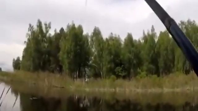 Какая красота речка рыбалка 🐟🐟 сколько рыбки всякой 🐟🐟 МММ 🎣🎣❤️👍! смотреть онлайн