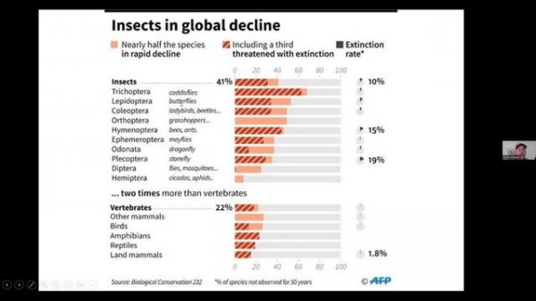 Nature Hour: Spring in Bloom - A Guide to Our Native Ephemeral Wildflowers