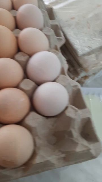 Домашнее яйцо